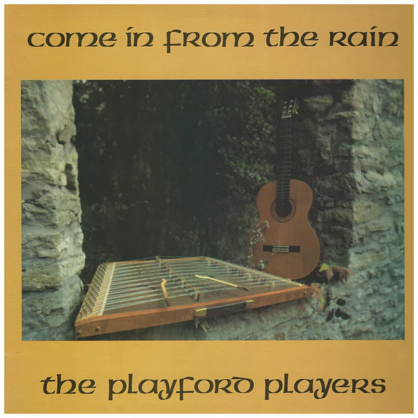 Come In From The Rain [Vinyl]