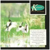 Kakadu Billabong [CD]