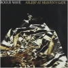 Asleep at Heaven's Gate [CD]