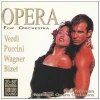 Opera For Orchestra: Verdi, Puccini, Wagner, Bizet [CD]