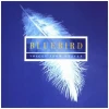 Bluebird: Voices From Heaven [CD]