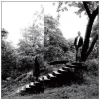 Timber Timbre [CD]
