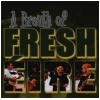 A Breath of Fresh Eire [CD]