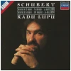 Schubert: Piano Sonatas 16 & 18 [CD]