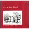 Cor Meibion Llanelli [Vinyl]