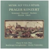 Musik Auf Villa Hugel: Prager Konzert (box set) [Vinyl]