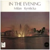 In The Evening [Vinyl]