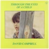 Through The Eyes Of A Child [Vinyl]