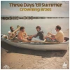 Three Days  'til Summer [Vinyl]