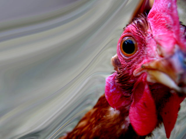 Barnyard Records