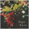 Sounds Of Kalyna [Vinyl]