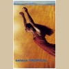 Brazil Classics, Vol. 1: Beleza Tropical [Tape]