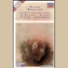 Faure Requiem - Pavane: Pelleas et Meliesande [Tape]